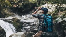 Αναζητάτε γαλήνη και ηρεμία; Οι «ψυχοθεραπευτές» της φύσης που βοηθούν