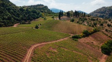 Μία κρυμμένη αμπελουργική όαση με μοναστηριακό παρελθόν