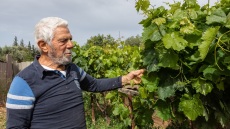 Υπάρχουν στ’ αλήθεια οι δημοτικοί λαχανόκηποι;