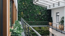 Ένας κάθετος κήπος με μυρωδικά στο κέντρο της Αθήνας