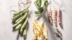 Τα φασολάκια σημαίνουν καλοκαίρι