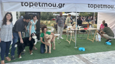 Woof Festival: Με μεγάλη επιτυχία διεξήχθη η μεγάλη γιορτή της φιλοζωίας που διοργάνωσε το topetmou.gr