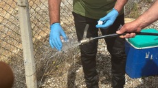 Μαγνησία: Από το νερό τα κρούσματα γαστρεντερίτιδας, λέει ο πρόεδρος του ΕΟΔΥ - Νέες δειγματοληψίες σήμερα