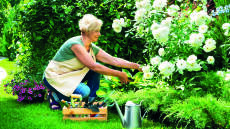 30 λεπτά στον κήπο είναι αρκετά για να ωφελήσουν την ψυχική μας υγεία 