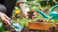 Πώς να φτιάξετε το δικό σας μποστάνι βήμα-βήμα