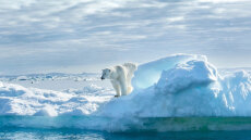 Καταψύχοντας ξανά τη γη – Το σχέδιο των ειδικών για τη διάσωση της Αρκτικής