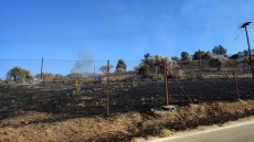 Ανυπολόγιστες ζημιές σε καλλιέργειες από τη φωτιά στο Κρανίδι Αργολίδας - Σε επιφυλακή για αναζωπυρώσεις