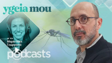 Κουνούπια: Πόσο κινδυνεύουμε από τις ασθένειες που μεταφέρουν; Ο εντομολόγος απαντά