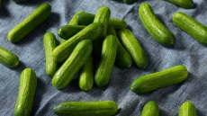 Το απίστευτο κόλπο που διατηρεί φρέσκο το αγγούρι