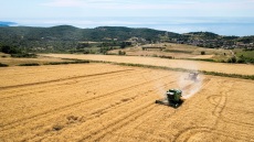 Στο νέο τεύχος του Cantina: Θεσσαλία- ο εθνικός μας κάμπος