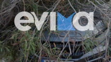 Ερέτρια: Δέντρο έπεσε και καταπλάκωσε αμάξι - Δείτε φωτογραφίες