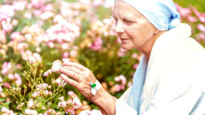 Λευχαιμία: Ποια φυτά οδήγησαν σε νέα θεραπευτικά μόρια με αντικαρκινικές ιδιότητες