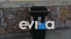 Εύβοια: Σκότωσαν μικρά γατάκια και τα πέταξαν στα σκουπίδια