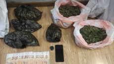 Ίλιον: Είχε στήσει εργαστήριο κάνναβης στο σπίτι του - Κατασχέθηκαν 22 δενδρύλλια