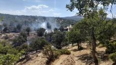 Υπό μερικό έλεγχο η φωτιά στο Σουφλί Έβρου - Δείτε βίντεο και φωτογραφίες