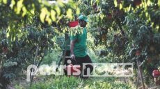 Αχαΐα: Εργάτης γης εντοπίστηκε νεκρός σε δεξαμενή άρδευσης - Συνελήφθη ο ιδιοκτήτης του αγροκτήματος
