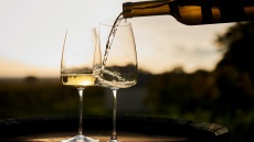 Μαλαγουζιά: η αρωματική ποικιλία σε 20 ξεχωριστές επιλογές