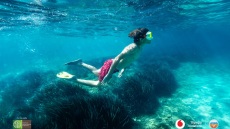Υποθαλάσσια λιβάδια της Ποσειδωνίας: η ανεκτίμητη χλωρίδα που χρειάζεται την αγάπη μας