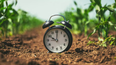 Αντιγήρανση: Γυρίστε τον χρόνο πίσω μέσα σε μόλις οκτώ εβδομάδες με αυτή τη διατροφή