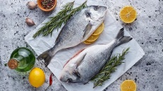 8 ιχθυοπωλεία που ξεχωρίσαμε σε Αθήνα και Θεσσαλονίκη