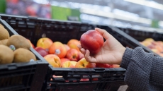 Πάνω από 26.500 στρέμματα παραμορφωμένα ροδάκινα, νεκταρίνια, βερίκοκα και δαμάσκηνα σε περιοχές της Ελλάδας