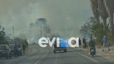 Εύβοια: Υπό έλεγχο η φωτιά που ξέσπασε κοντά σε ξενοδοχείο στην Ερέτρια