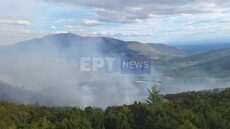 Οριοθετημένη η φωτιά στη Βλάστη Κοζάνης - Ξέσπασε σε δύσβατο σημείο 