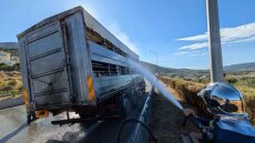 Ιόνια Οδός: Φωτιά πήρε νταλίκα με ζώα κοντά στην Αμφιλοχία