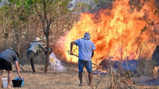 Βραζιλία: Η χώρα πνίγεται από τον καπνό των δασικών πυρκαγιών