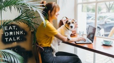 7 pet friendly διευθύνσεις στην Αθήνα για καφέ, brunch, και ποτό