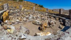 Μυτιλήνη: Επιβάτης πτήσης έκλεψε τμήμα από το Απολιθωμένο Δάσος της Λέσβου