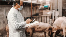 Η σημασία της Ενιαίας Υγείας στην αντιμετώπιση των μεταδιδόμενων από τα ζώα νόσων – Τα δύο επικίνδυνα παράσιτα