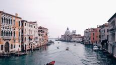 Εκατοντάδες ψάρια ξεβράστηκαν στους δρόμους της Βενετίας, δείτε βίντεο