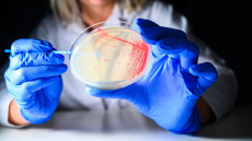 Ενιαία Υγεία: Μια Καθοριστική Έννοια για τη Βιωσιμότητα του Οικοσυστήματος και τη  Διασφάλιση της Δημόσιας Υγείας