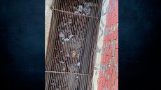 «Αν δεν είχε κατεβάσει το κεφάλι του υπήρχε πιθανότητα να συνθλιβεί» λέει ο πατέρας του 12χρονου που έκλεισαν στο φρεάτιο από τη Νέα Ιωνία