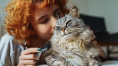 Δυνατή καρδιά και λιγότερη στεναχώρια – Δύο απο τα πολλά οφέλη της συγκατοίκησης με γάτες