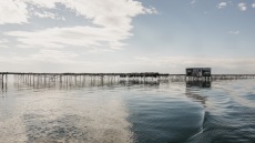 Θερμαϊκός: Η θάλασσα των μυδιών