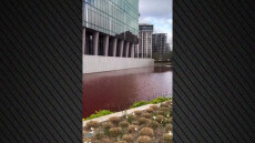 Ακτιβιστές της Greenpeace έριξαν κόκκινη μπογιά σε σιντριβάνι έξω από την πρεσβεία των ΗΠΑ στο Λονδίνο