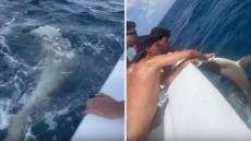 Ζοάο Φέλιξ: Ψάρεψε σφυροκέφαλο καρχαρία και προκάλεσε αντιδράσεις στα social media - Βίντεο