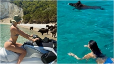 Παναγιώταρου και Αλεξανδράκη βρήκαν... γουρούνια στη θάλασσα