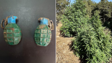 Συνελήφθη 47χρονος για καλλιέργεια δενδρυλλίων κάνναβης και χειροβομβίδες - Δείτε φωτογραφίες
