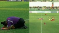 Ποδοσφαιρικός αγώνας στην Τανζανία διακόπτεται... από ένα σμήνος μελισσών - Δείτε βίντεο
