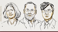 Για τους μηχανισμούς που εμποδίζουν τα αυτοάνοσα το φετινό Νόμπελ Ιατρικής