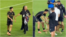 Ο Σον κλέβει τις εντυπώσεις: Έτρεξε να αγκαλιάσει τη μασκότ-σκύλο της LAFC και «έριξε» το διαδίκτυο! - Βίντεο
