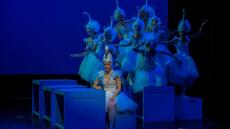 Εθνική Λυρική Σκηνή: Τέσσερις παραστάσεις της Εναλλακτικής Σκηνής περιοδεύουν σε πόλεις της Ελλάδας 