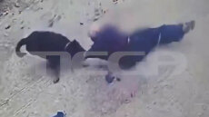 Η στιγμή που το ροτβάιλερ επιτίθεται στον ιδιοκτήτη του στην Καλαμάτα - Ο σκύλος τον έσερνε, τον δάγκωνε με μανία και τον τραυμάτισε σοβαρά
