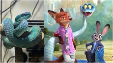 Κίνα: Οι νέοι αγοράζουν δηλητηριώδεις οχιές λόγω της μεγάλης επιτυχίας του «Zootopia 2»