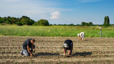 Νέες ρυθμίσεις για τους αγρότες: Παράταση έως το τέλος του έτους για χρηματοδότηση και αγροτικά ακίνητα