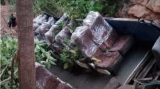 Τουλάχιστον 14 νεκροί σε τροχαίο με λεωφορείο στη Βολιβία, δείτε βίντεο