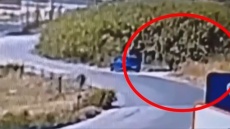 Κακουργηματική δίωξη στον 59χρονο για έξι φωτιές στη Σίνδο: «Τις έβαζα για να ξεδίνω από τη δουλειά» 
